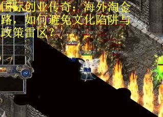 国际创业传奇：海外淘金路，如何避免文化陷阱与政策雷区？