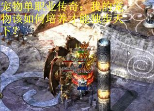 宠物单职业传奇：我的宠物该如何培养才能独步天下？