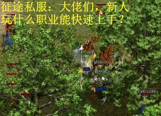 征途私服：大佬们，新人玩什么职业能快速上手？