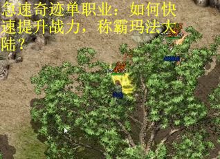急速奇迹单职业：如何快速提升战力，称霸玛法大陆？