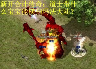 新开合计传奇：道士带什么宝宝能横扫玛法大陆？