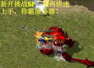 新开挑战SF，如何快速上手，称霸服务器？