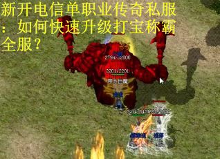 新开电信单职业传奇私服：如何快速升级打宝称霸全服？