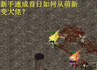 新手速成首日如何从萌新变大佬？