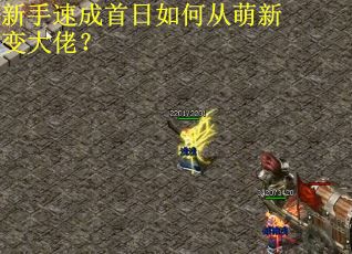 新手速成首日如何从萌新变大佬？