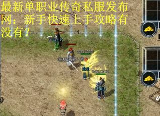 最新单职业传奇私服发布网：新手快速上手攻略有没有？