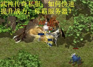 武神传奇私服：如何快速提升战力，称霸服务器？