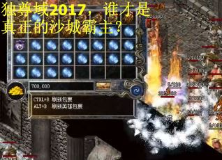 独尊域2017，谁才是真正的沙城霸主？