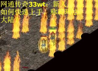 网通传奇33wt：新人如何快速上手，称霸玛法大陆？