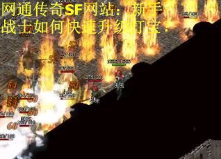 网通传奇SF网站：新手战士如何快速升级打宝？