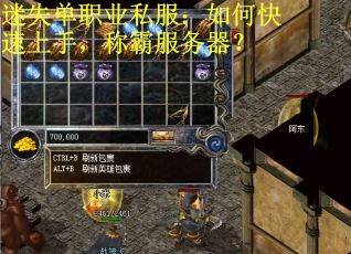 迷失单职业私服：如何快速上手，称霸服务器？