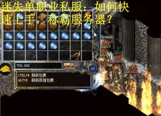 迷失单职业私服：如何快速上手，称霸服务器？